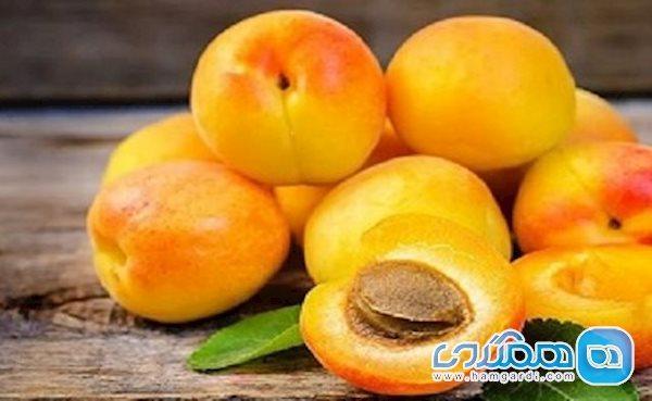 درمان سنگ کلیه و بوی دهان با میوه های تابستانی