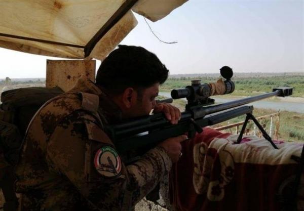 عراق، تازه ترین دستاورد حشد شعبی در عملیات شیران جزیره