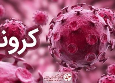 کرونا 3 خانواده زنجانی را داغدار کرد