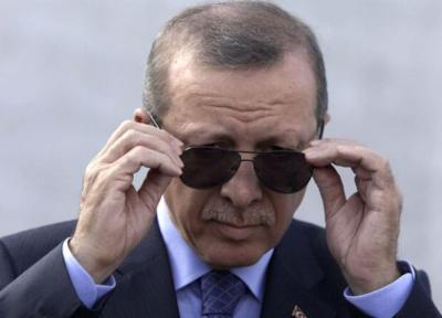 اردوغان از ایجاد سازمان دولت های ترک اطلاع داد