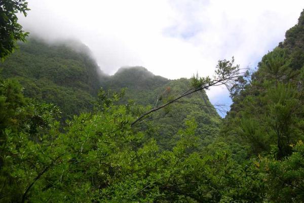متحول شدن صنعت گردشگری گیلان با ثبت جهانی جنگل های هیرکانی