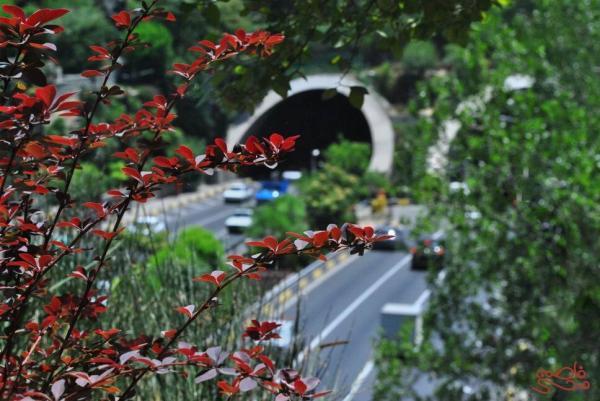 ببینید ، این بام تونل در فهرست زیباترین بام های تهران جا گرفت